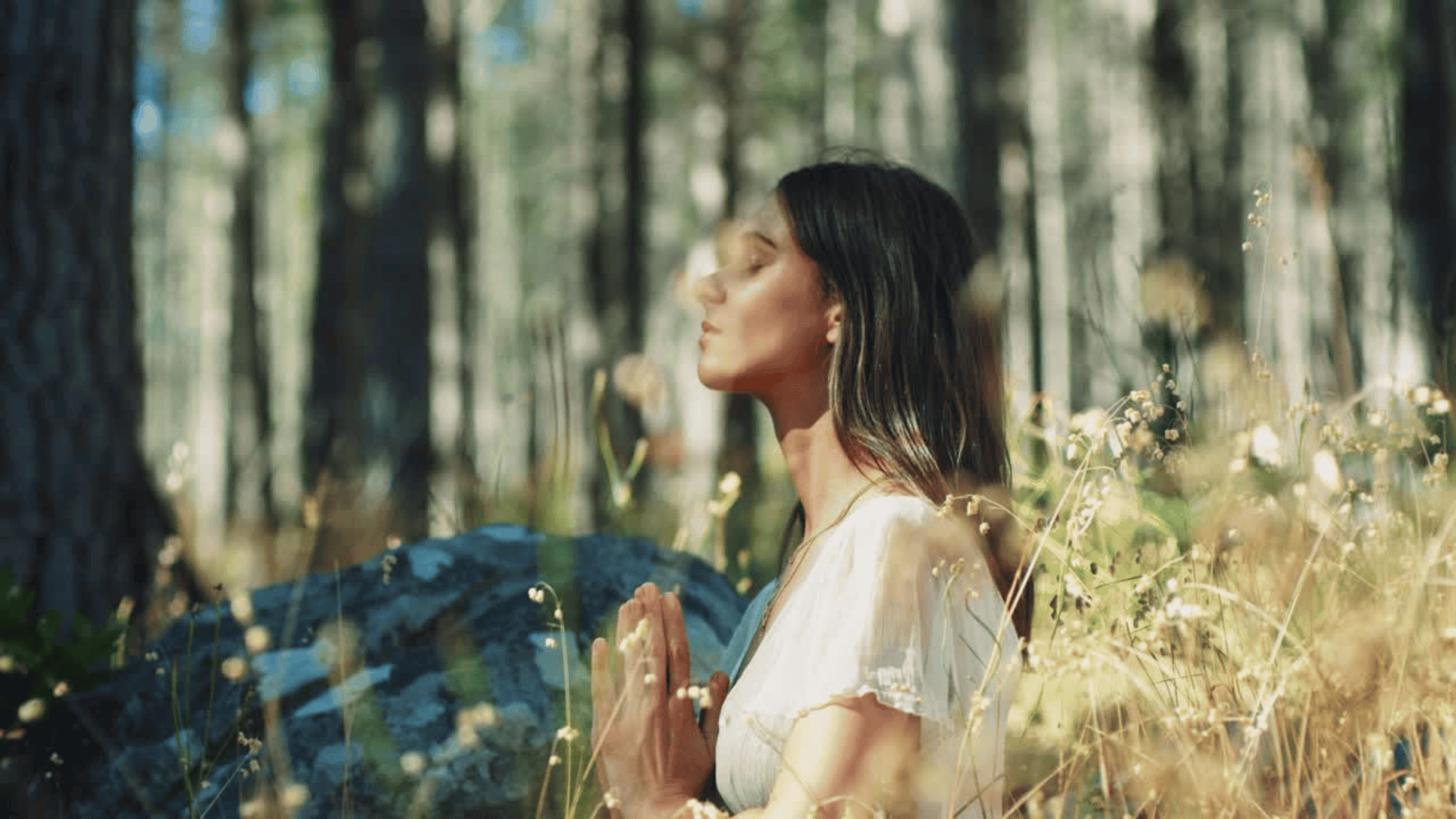 Méditation en forêt